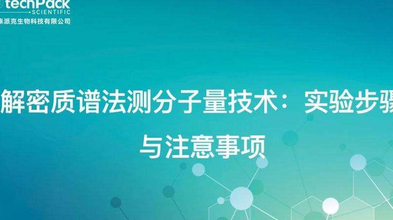 传奇私服修改工具攻略：技巧与注意事项